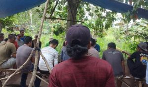 Lokasi arena gelanggang ayam di Kilometer 20 (Km 20), Kelurahan Gunung Lengkuas, Kecamatan Bintan Timur, Kabupaten Bintan.