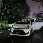 Mobil Rinsek Akibat Tertimpa Pohon di Jalan Adi Sucipto Batu 11, Tanjungpinang, Selasa (17/09/2024) / F/Potensi.news.