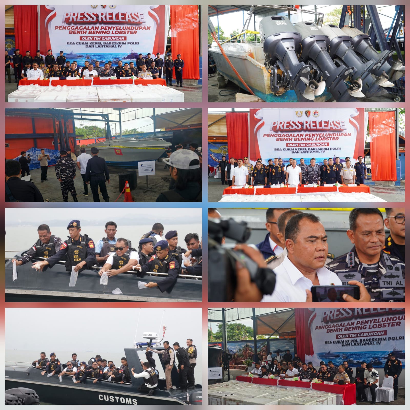 Konferensi Pers Penyelundupan Benih Bening Lobster Sebanyak 237.305 Benih Bening Lobster Senilai 23,6 Miliar Rupiah. Tim Gabungan Bareskrim Polri bersama Kanwilsus DJBC Kepri, dan Lantamal IV Batam berhasil menggagalkan upaya penyelundupan benih bening lobster yang terjadi di Perairan Berakit, Kabupaten Bintan, Kepulauan Riau, (f/potensi.news).