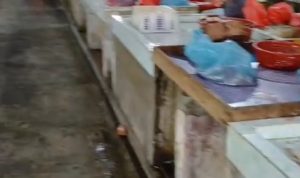 Aktivitas pedagang daging ayam segar di Pasar Bincen saat harga dan pasokan menjadi sorotan publik. (F/Potensi.News)