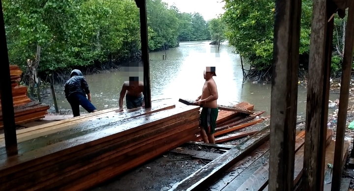 Terlihat aktivitas para pekerja mengangkat sejumlah kayu yang diduga sebelumnya direndam atau “diendapkan” di kawasan bakau maupun hutan mangrove lokasi di Jalan Raja Haji Fisabilillah Kilometer 5 (Batu 5 Atas), Kelurahan Sei Jang, Kecamatan Bukit Bestari, Kota Tanjungpinang, Provinsi Kepulauan Riau. Aktivitas tersebut terekam tim di lokasi dan menjadi perhatian warga sekitar terkait asal-usul serta legalitas kayu yang ditampung (F/Potensi.News/Tim).